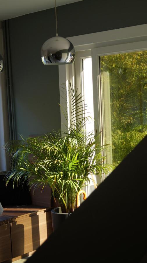 Les Terrasses De Templeuve B&B 외부 사진